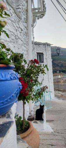  La Maestra in Trevélez