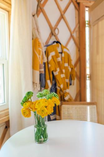 Camposanto Glamping - The Peacock Yurt in Austin, USA