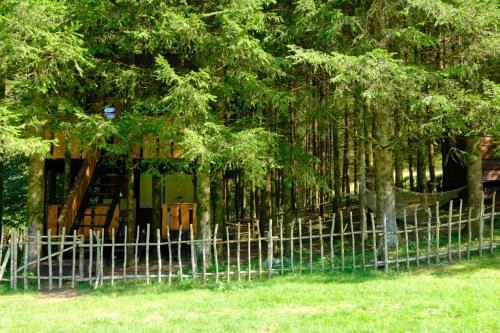 Treehouse KUPARI Nacionalni park Risnjak