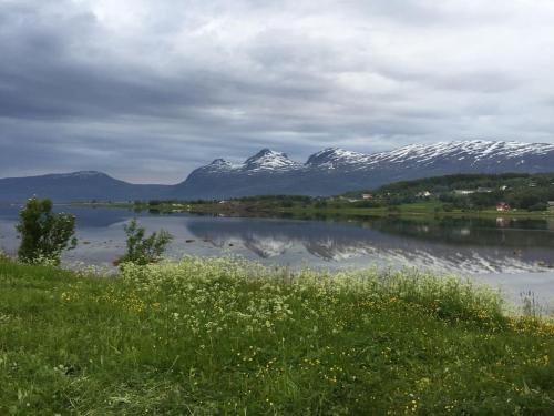 Alrededores, Hyggelig lite bosted ved sjøen, nær sentrum i Valnesfjord in Fauske