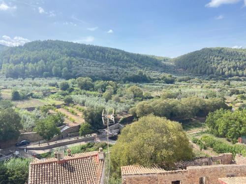 Remote Work in Spanish Mediterranean Countryside