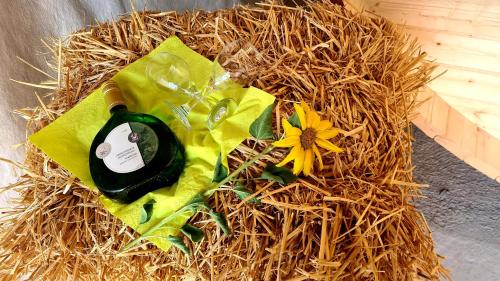 Schlaffass mit Wellness in alter Scheune Schlaffass mit Wellness in alter Scheune