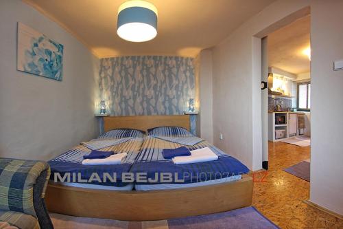 Apartmány Milenium - image 8