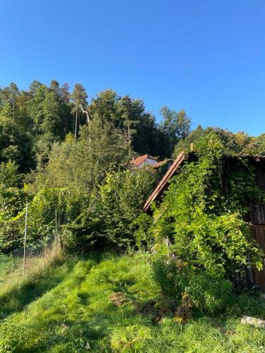 Vaade, Mon refuge en Vasgovie in Meisenthal