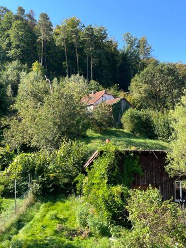 Vaade, Mon refuge en Vasgovie in Meisenthal