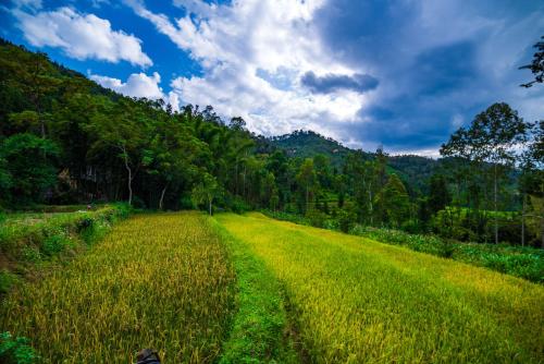 Đồng Văn Panorama Homestay (Đong Van Panorama Homestay) in Đồng Văn