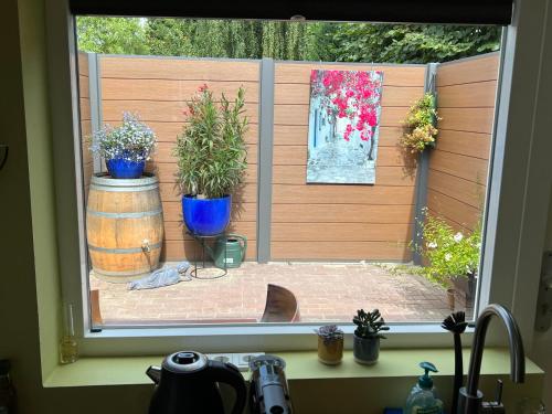 Het Tulpenkwartier Het Tulpenkwartier