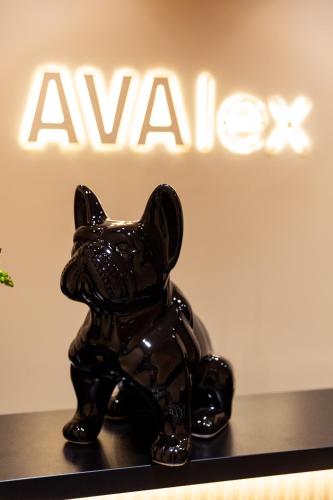 Hotel AVAlex