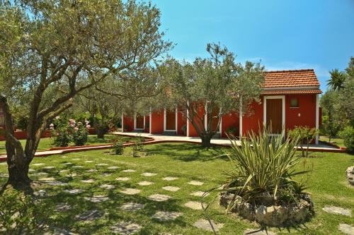  Dendrolivano in Minia