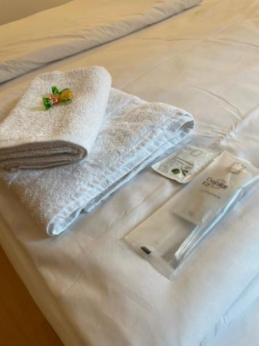 Hotel Starlight - image 5