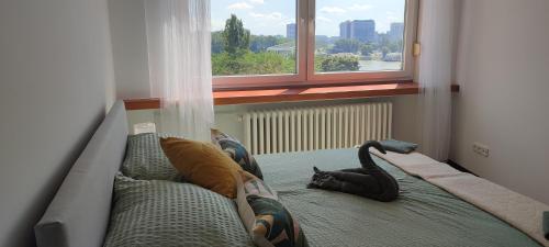 Danube Riverside Apartment with quite workplace, Bratislava (fotografie 3)