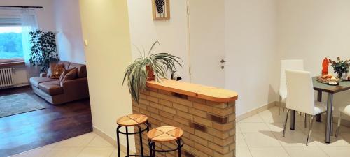 Danube Riverside Apartment with quite workplace, Bratislava (fotografie 8)