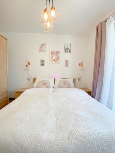 Apartament Szklarska - Kwiat Karkonoszy - ścisłe centrum, Szklarska Poręba (foto 5)