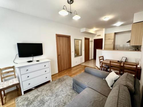 Superior Apartment (4 Adults) image 10