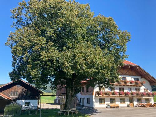  Biohof-Feichtinger, Pension in Zell am Moos bei Untermühlham