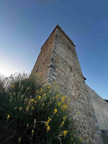 Medieval Tower in Umbria with Swimming Pool