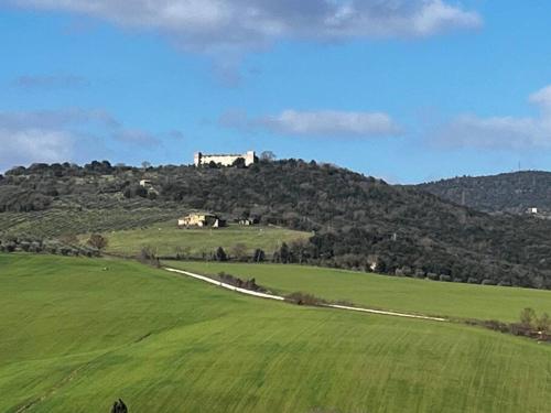 Medieval Tower in Umbria with Swimming Pool