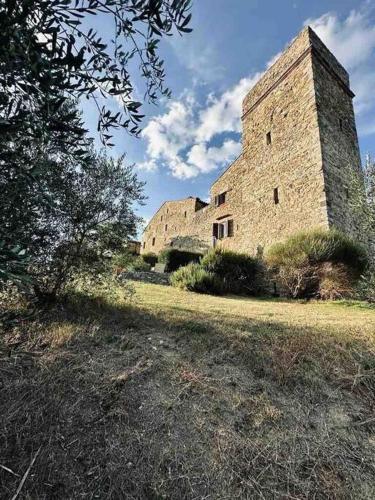 Medieval Tower in Umbria with Swimming Pool