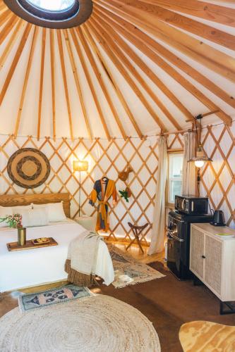 Camposanto Glamping - The Macaw Yurt in Austin, USA