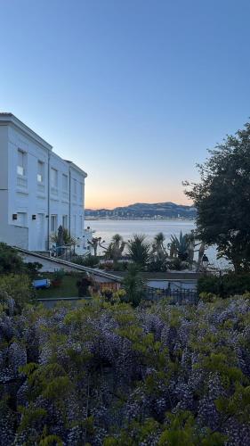 L'Oasis - Location saisonnière - Marseille