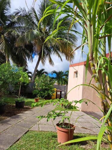 Studio Perle de Zanzibar Trois-Ilets Studio Perle de Zanzibar Trois-Ilets