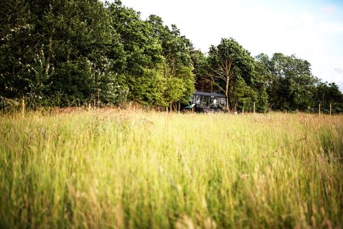  Cirkusvognen på Ærø in Marstal