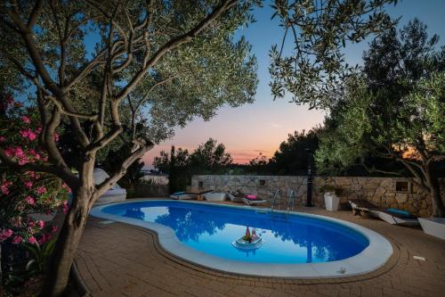 Luxury Villa Bella Vista with Swimming Pool - Accommodation - Betina