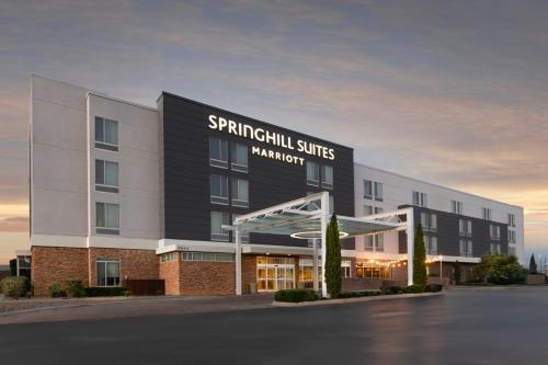 SpringHill Suites by Marriott San Angelo