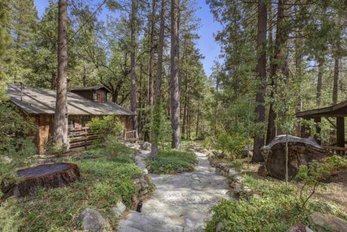Owl Pine Cabin on Strawberry Creek in Idyllwild, USA