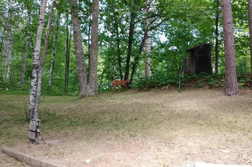 Sanctuary at Hay Lake - Includes Pontoon Boat