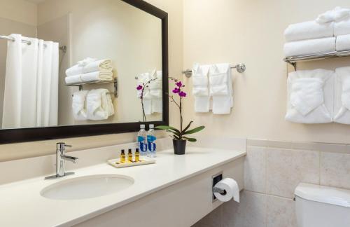 Best Western Plus Downtown Inn And Suites