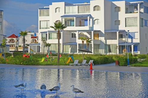 Bazén, InHome Apartment in Cabo Negro