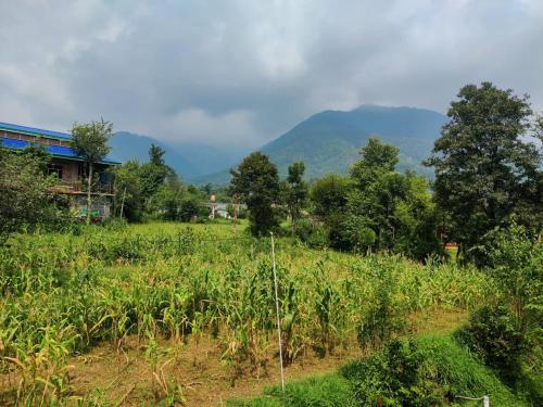 Aditya Homestay Bir-Billing surrounded by Mountains