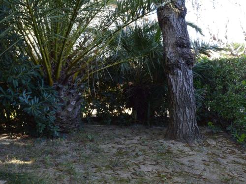 Appartement Saint-Cyprien 2 pièces 4 personnes - FR-1-225D-22 - image 14