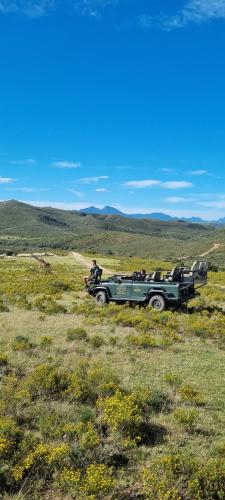 Garden Route Safari Camp