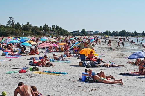 Ferienwohnung direkt am Strand in Makkum