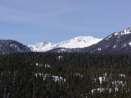 Basecamp Strathcona Park View Chalet