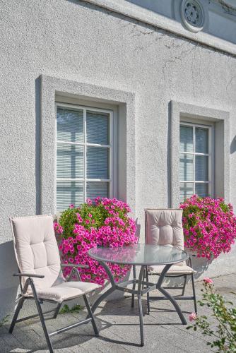 Big Apartment in Guesthouse in Baden