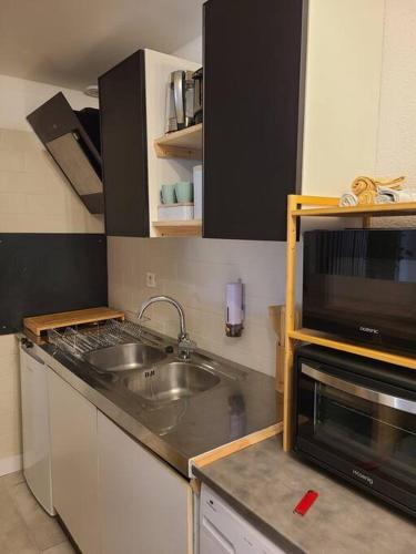 Joli studio rénové situé au pied des thermes (Joli studio renove situe au pied des thermes) in Arles-sur-Tech