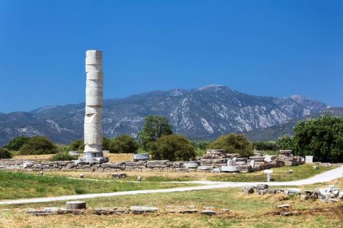 Alpha apartment, Ireon Samos