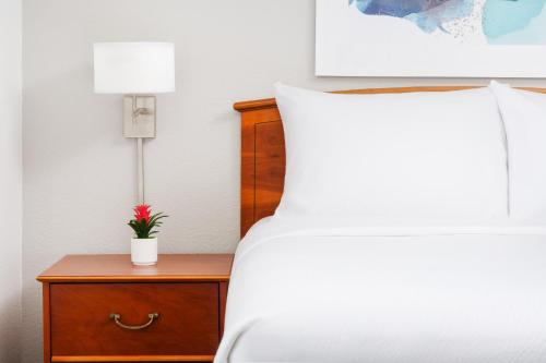 One-Bedroom Queen Suite with Sofa Bed