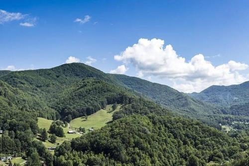 Wandering Bear Cabin w/ Hot Tub & Mountain Views! in Waynesville, USA