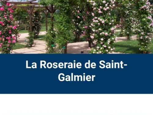 Appartement Saint-Galmier, 3 pièces, 4 personnes - FR-1-496-276