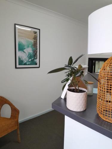 Coogee Prime Lodge - image 12