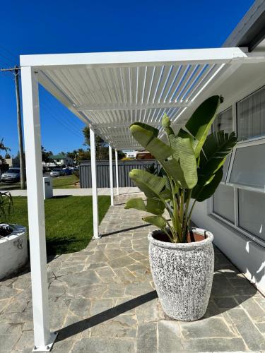 Exterior view, Surf Beach Motel Port in Port Macquarie