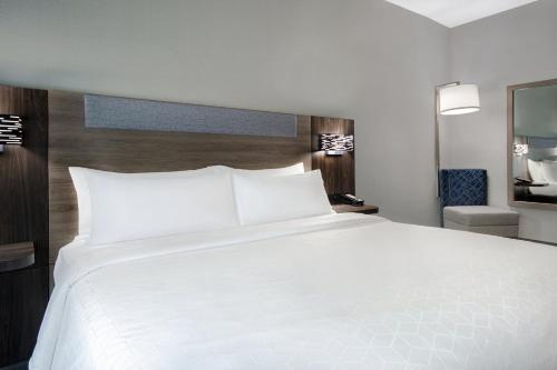 Holiday Inn Express Marietta - Atlanta Northwest an IHG Hotel - image 6