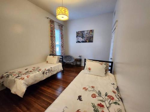 Overton Square - Spacious & Central in Memphis, USA