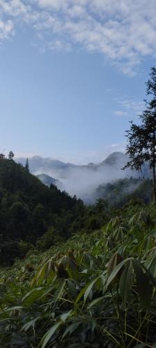 꾸안바의 아파트먼트 (5000m², 침실 5개, 프라이빗 욕실 3개)