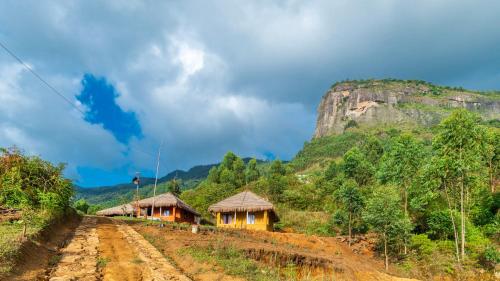 FOOD FOREST KANTHALLOOR