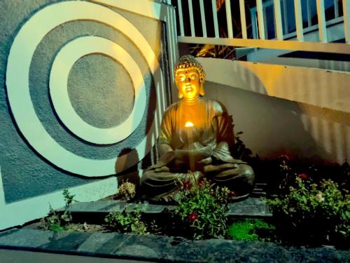 Hotel Wood Stock Luxury - A Boutique Property - Penthouse - Open Air Restaurant & Terrace